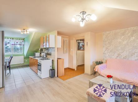 obývací pokoj s kuchyní | Prodej bytu, 2+kk, 45 m²