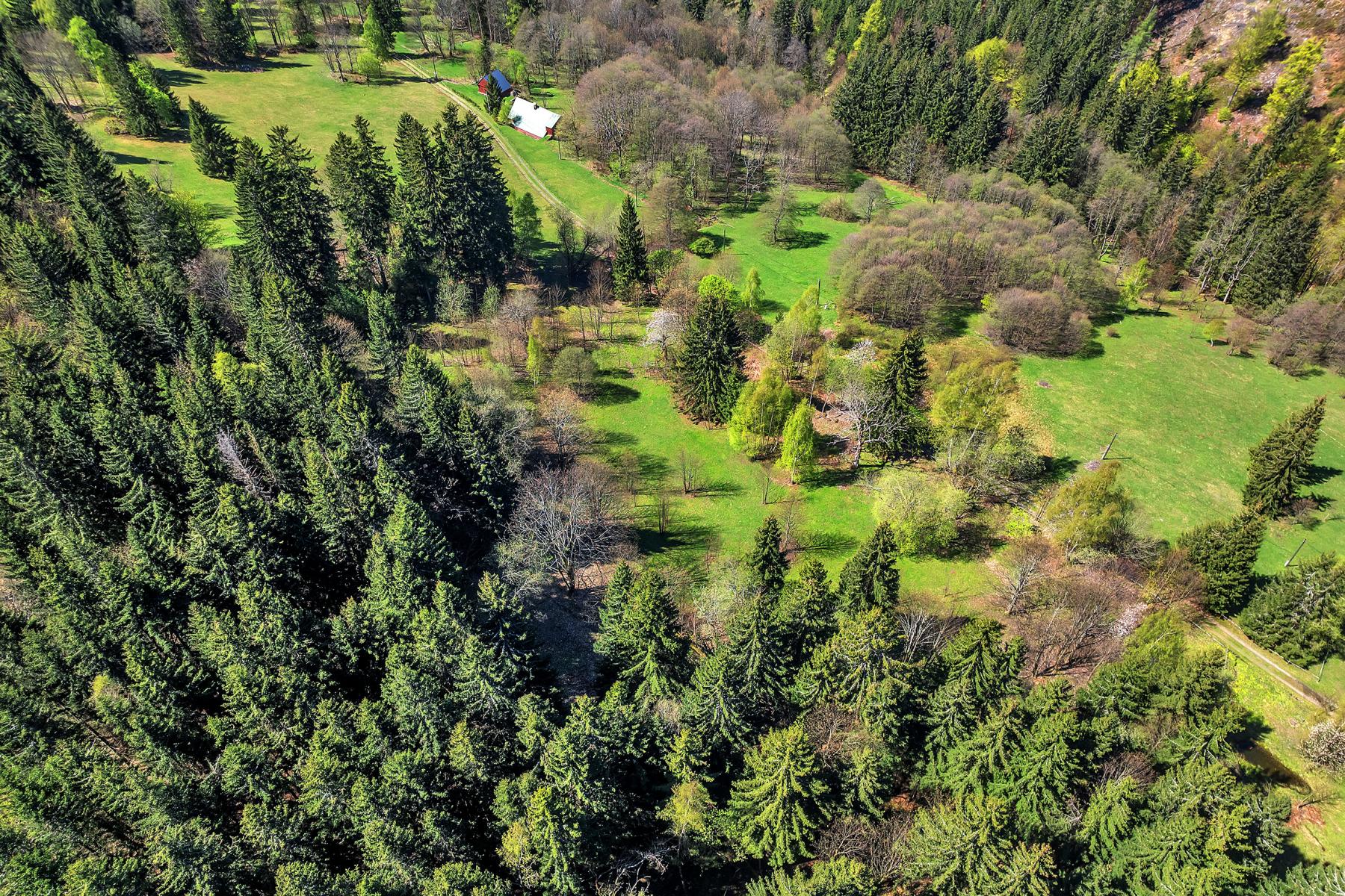 DJI_0175.jpg