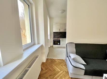 Pronájem bytu, 1+kk, 36 m²