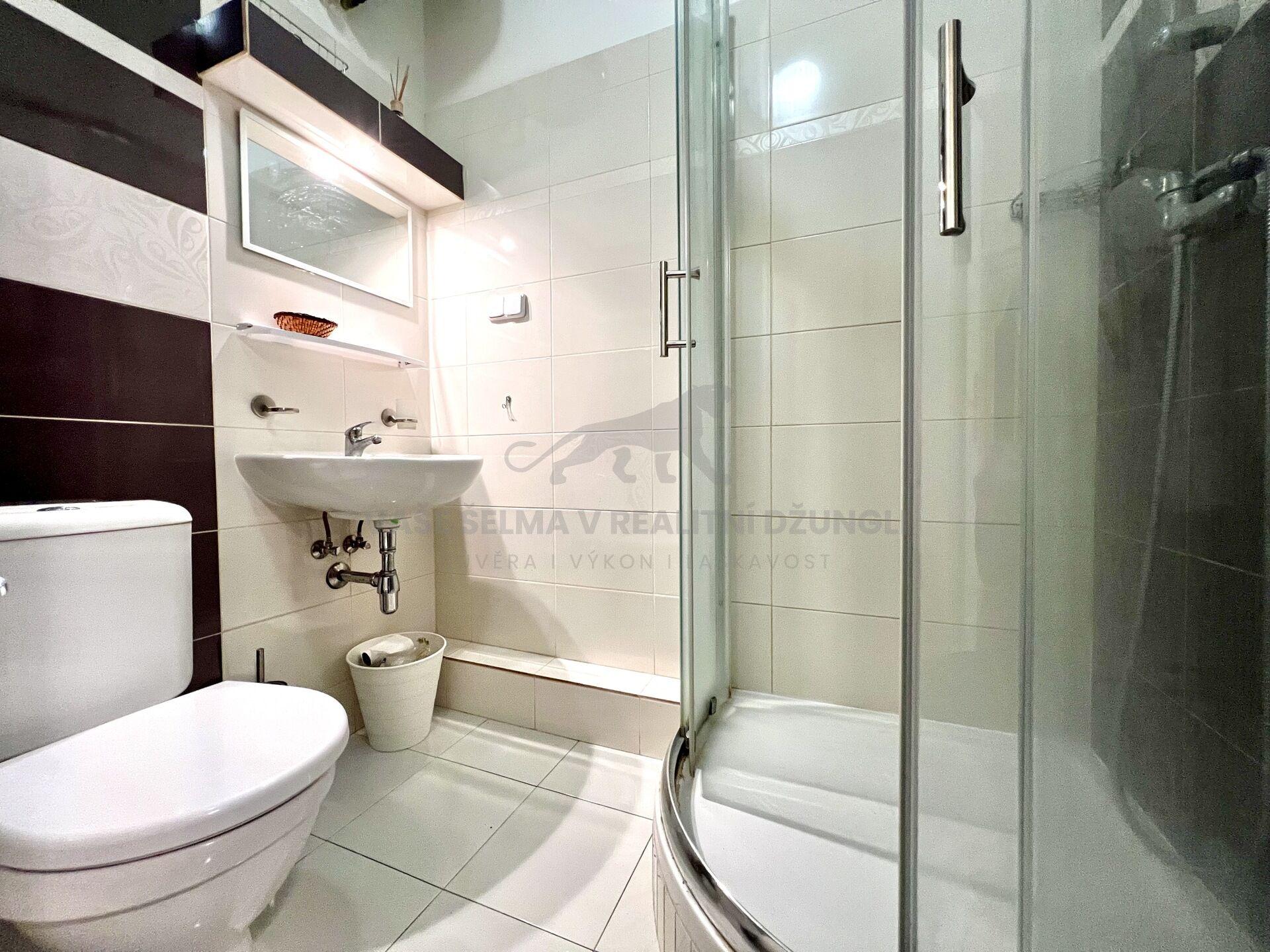 Stylové 1+kk na Praze 1 ve Vodičkově ulici