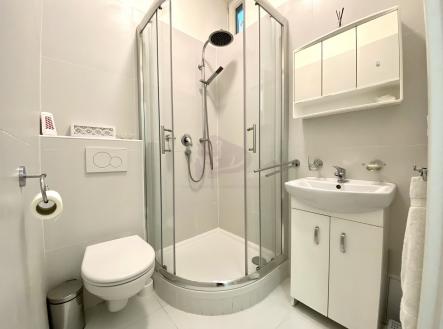 Pronájem bytu, 1+1, 50 m²