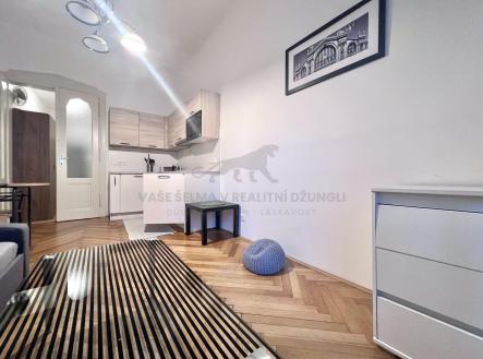 Pronájem bytu, 1+kk, 22 m²
