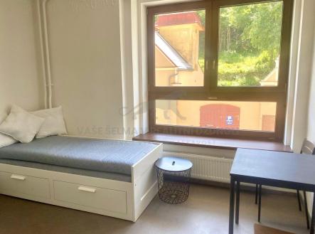 Pronájem bytu, 1+kk, 20 m²