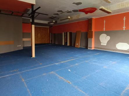 Pronájem - jiné, 200 m²