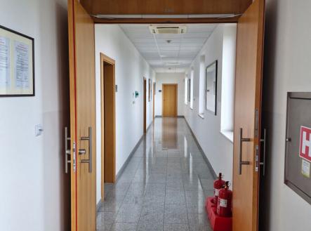 Pronájem - kanceláře, 350 m²