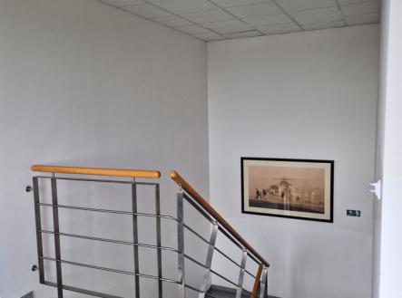 Pronájem - kanceláře, 350 m²