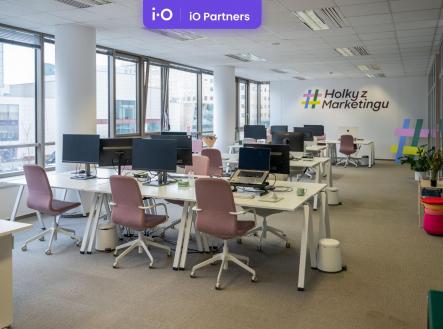 Pronájem - kanceláře, 311 m²