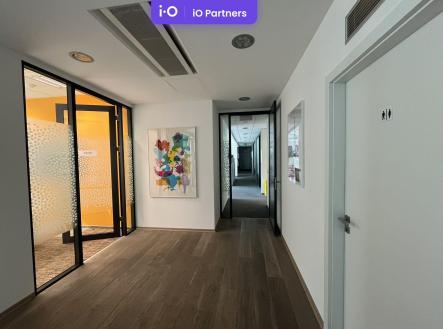 Pronájem - kanceláře, 466 m²
