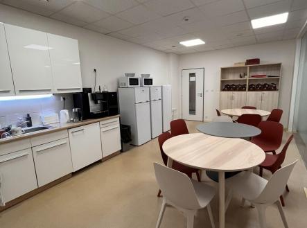 Pronájem - kanceláře, 1 251 m²