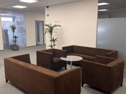 Pronájem - kanceláře, 1 251 m²