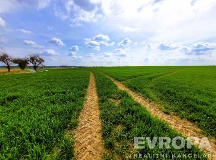 . | Prodej - pozemek, zemědělská půda, 27 281 m²