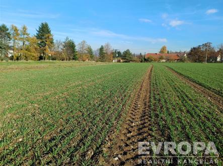 . | Prodej - pozemek pro bydlení, 900 m²