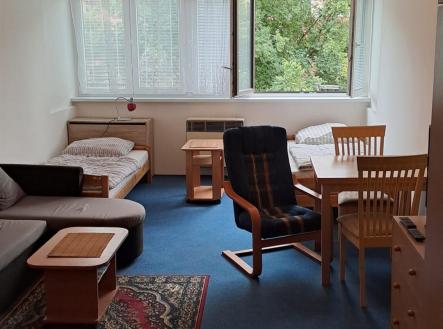 . | Pronájem bytu, 1+kk, 25 m²