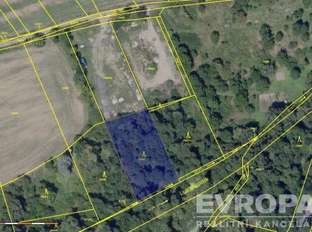 . | Prodej - pozemek, les, 2 166 m²