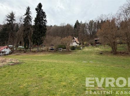 . | Prodej - pozemek, trvalý travní porost, 1 001 m²