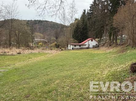 . | Prodej - pozemek, trvalý travní porost, 1 001 m²