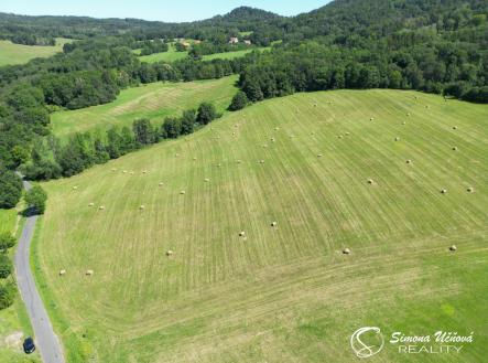 d1.JPG | Prodej - pozemek, trvalý travní porost, 74 552 m²