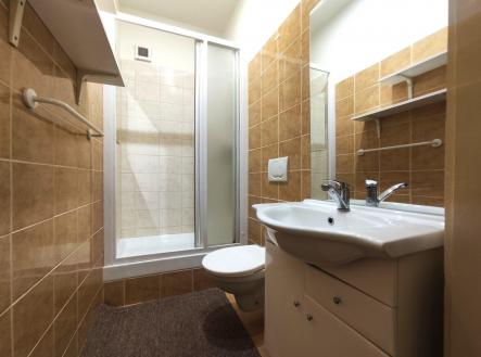 Pronájem bytu, 1+1, 41 m²