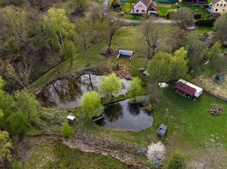 Rybni╠ük Bor_HV_016 | Prodej - pozemek, zahrada, 4 043 m²