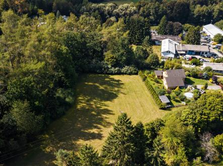 Plasy_HV_007 | Prodej - pozemek pro bydlení, 3 866 m²