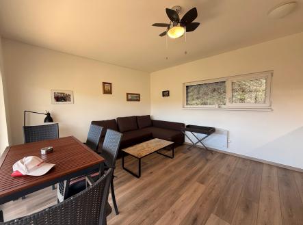 IMG_9826 | Pronájem bytu, 2+kk, 41 m²