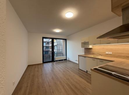 IMG_0296 | Pronájem bytu, 1+kk, 39 m²