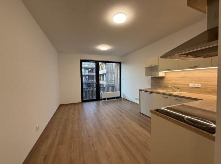 IMG_0298 | Pronájem bytu, 1+kk, 39 m²