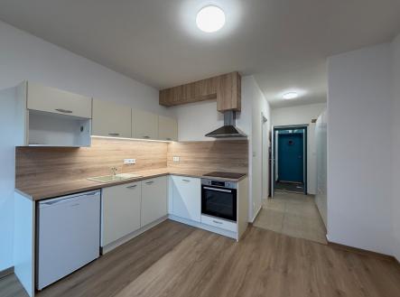 IMG_0297 | Pronájem bytu, 1+kk, 39 m²