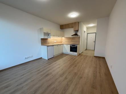 IMG_0303 | Pronájem bytu, 1+kk, 39 m²