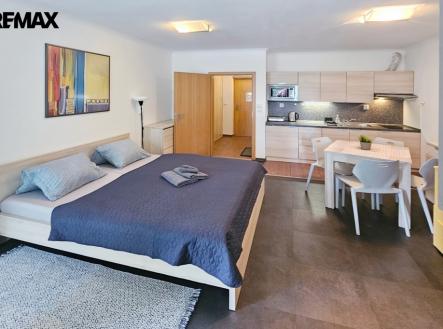 obývací pokoj s kuchyňským koutem a chodbou | Prodej bytu, 1+kk, 34 m²