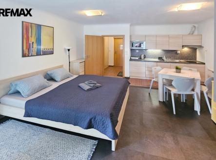 obývací pokoj s kuchyňským koutem a chodbou | Prodej bytu, 1+kk, 34 m²