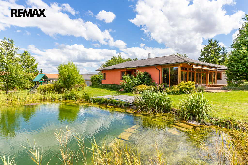 pohled ze zahrady s jezírkem