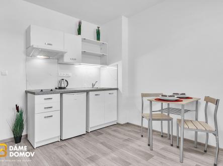 Radek Motyka ap1 SvC - 3 | Pronájem bytu, 1+kk, 31 m²