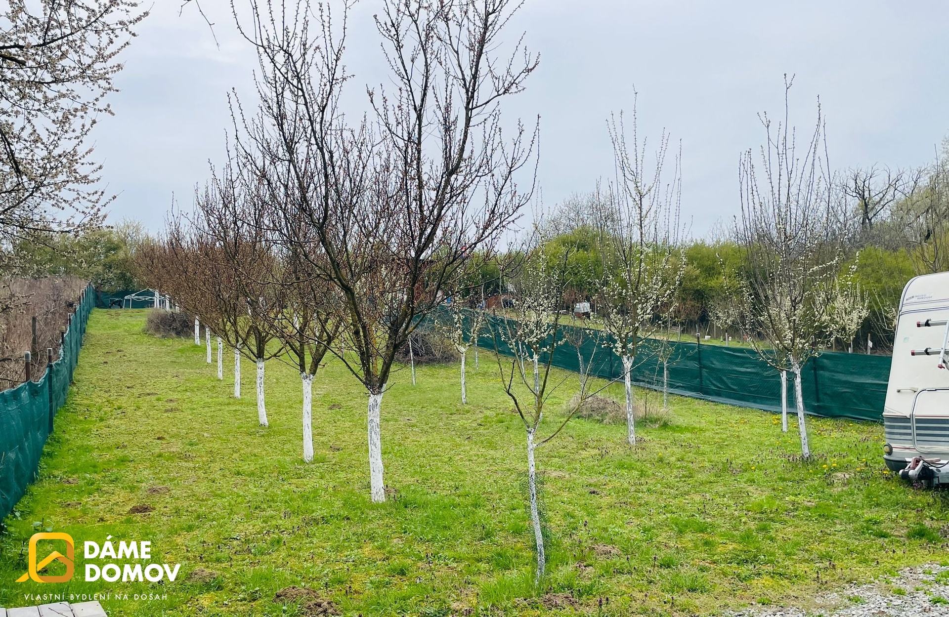 WhatsApp Image 2026-04-13 at 08.55.00