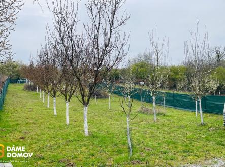 WhatsApp Image 2026-04-13 at 08.55.00 | Prodej - pozemek, zahrada, 1 001 m²