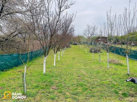 Prodej - pozemek, zahrada, 1 001 m² obrázek