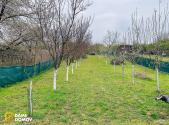 Prodej - pozemek, zahrada, 1 001 m²