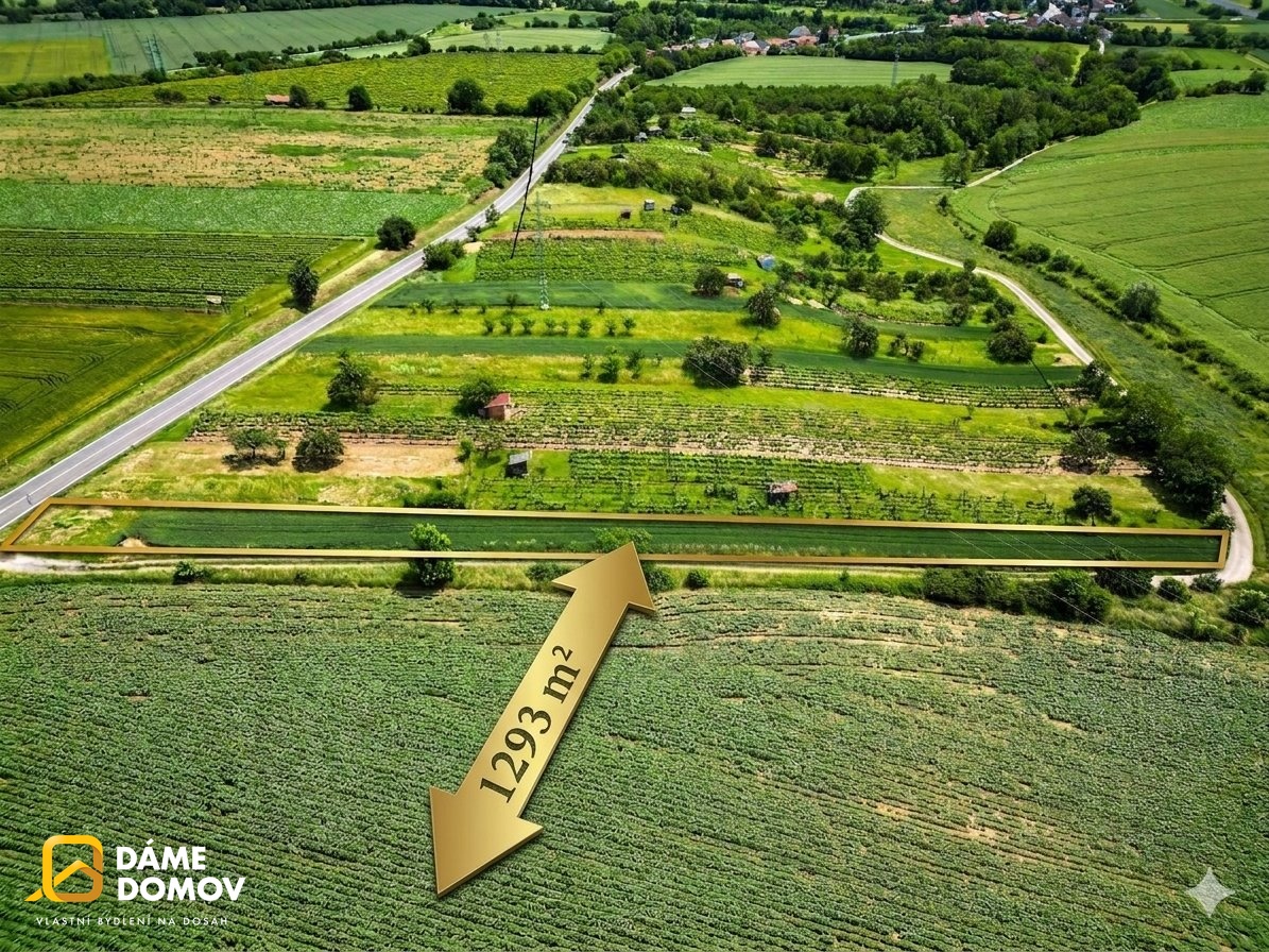 Gemini_Generated_Image_cigkm5cigkm5cigk