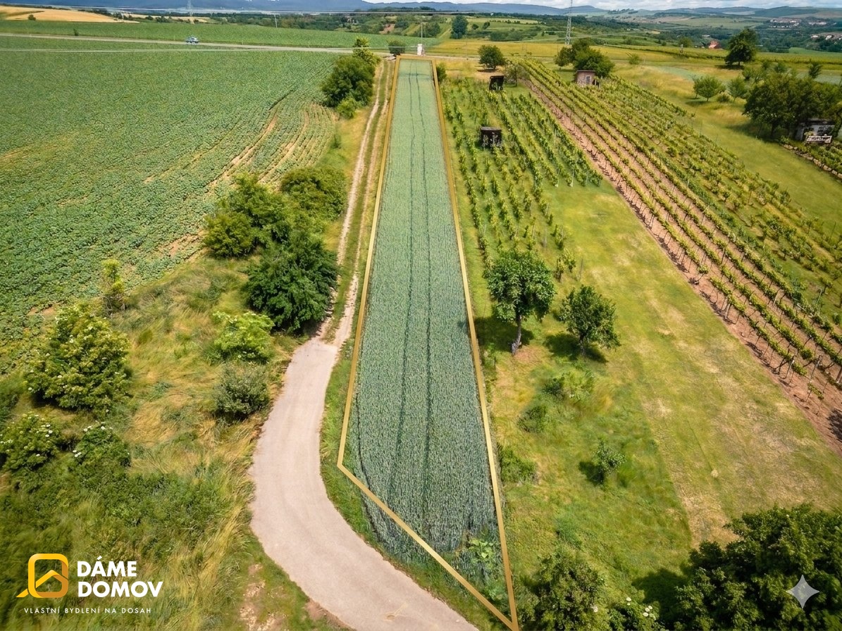 Gemini_Generated_Image_7opc9u7opc9u7opc