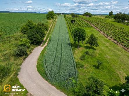 Gemini_Generated_Image_px974cpx974cpx97 | Prodej - pozemek, ostatní, 1 293 m²