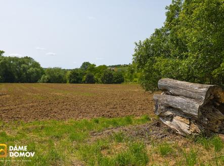 1-IMG_3691 | Prodej - pozemek, ostatní, 553 m²