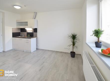 Afireality S5 08 | Pronájem bytu, 1+kk, 26 m²