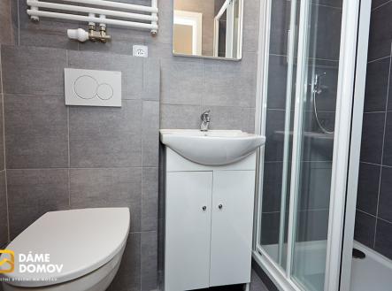 AP 9 (1) | Pronájem bytu, 1+kk, 24 m²