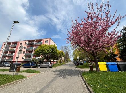 35404f6c-fcbc-4125-97d3-6a20b600e2a1 | Prodej bytu, 4+1, 104 m²