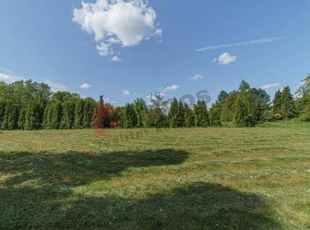 Prodej - pozemek pro bydlení, 2 921 m²