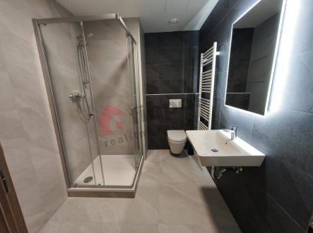 Pronájem bytu, 1+kk, 29 m²