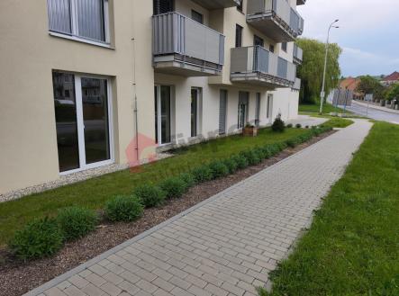 Pronájem bytu, 1+kk, 29 m²