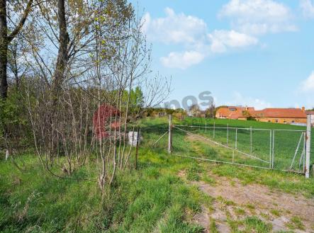 Prodej - pozemek pro bydlení, 3 451 m²