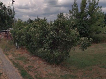 nové sady 3 | Prodej - pozemek pro bydlení, 1 434 m²