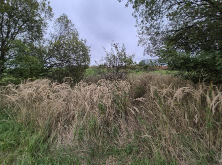 20250922_095835 | Prodej - pozemek pro bydlení, 1 297 m²